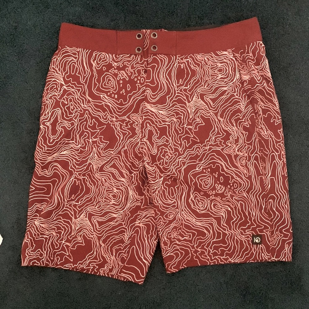 Tentree mens swim trunks